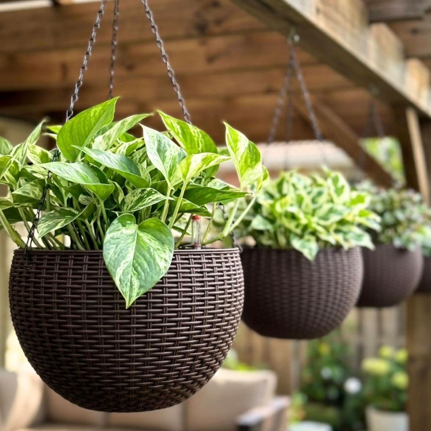 LaLaGreen Hanging Planters for Indoor Plants (11 Inch, 4 Pack) Brown Rattan Style Self-Watering Flower Pots with Water Level Indicator, Round Plastic Baskets with Metal Chain for Balcony, Porch Garden