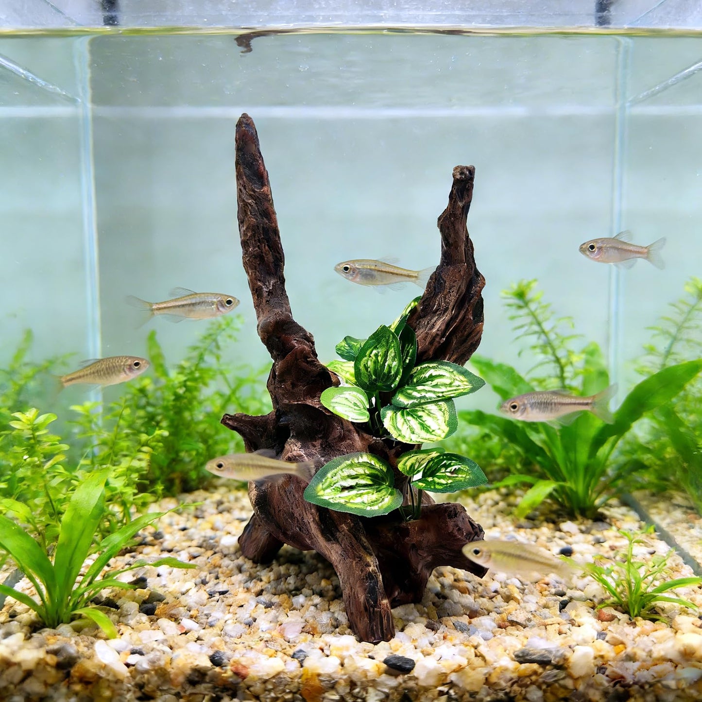 PEUILST Resin Simulation Driftwood Aquarium Decor, Fish Tank Landscape Ornament Hideout for Betta Goldfish Amphibians Reptiles Rest Play Accessories