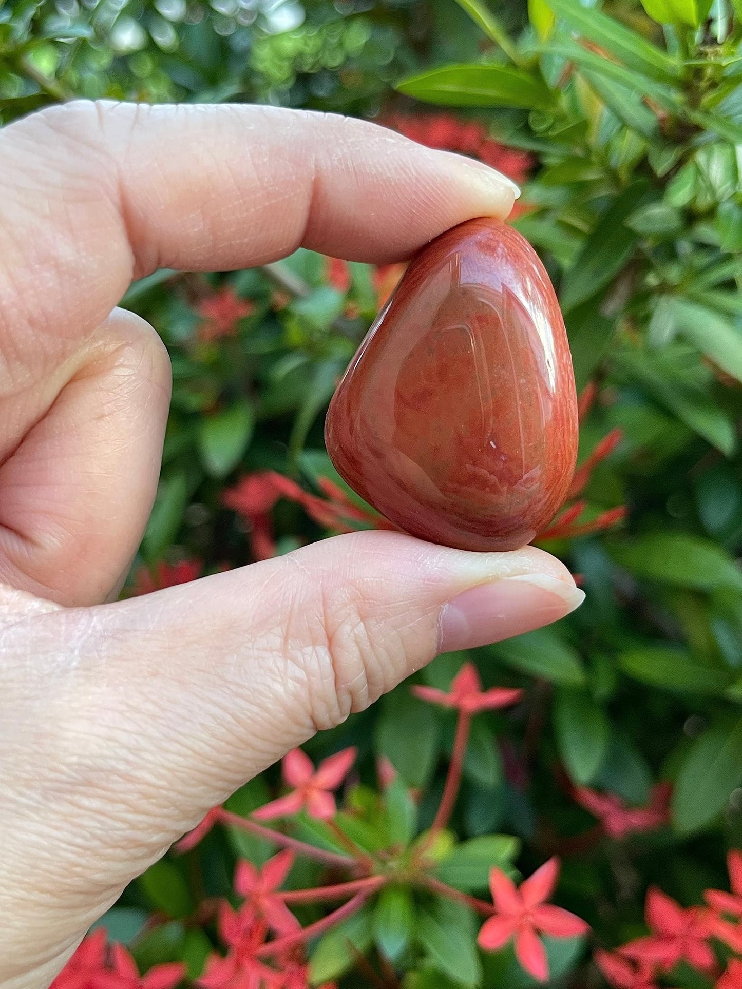 GAF TREASURES 5 Pcs Red Jasper Tumbled Stones, Polished Red Jasper Gemstone, Red Jasper Healing Crystals (Red Jasper)