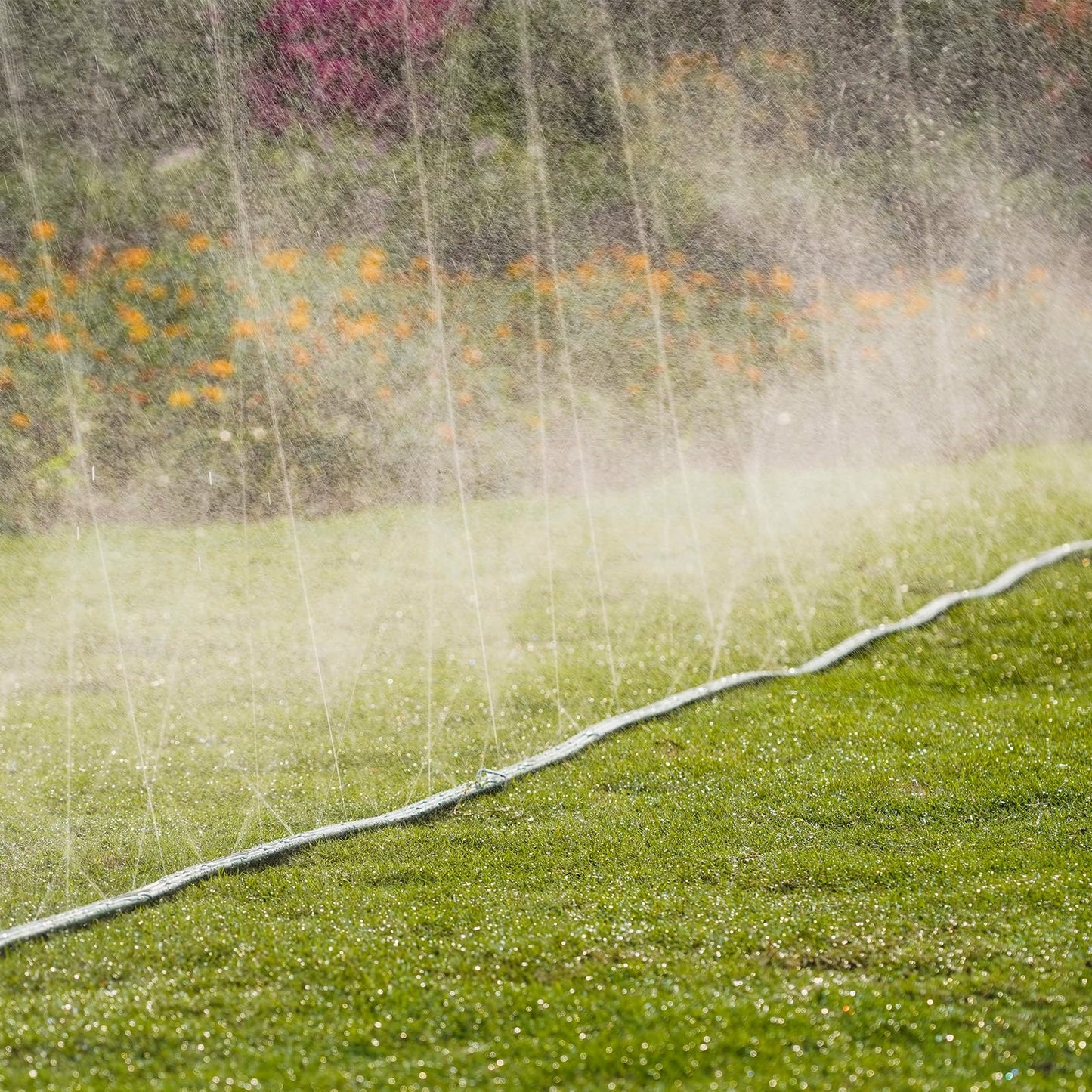 DXront Sprinkler Soaker Hose 75ft for Garden Lawn, Watering Pipe with Holes, High-Efficiency Water-Saving Garden Irrigation System, Drip Hose Sprinkler