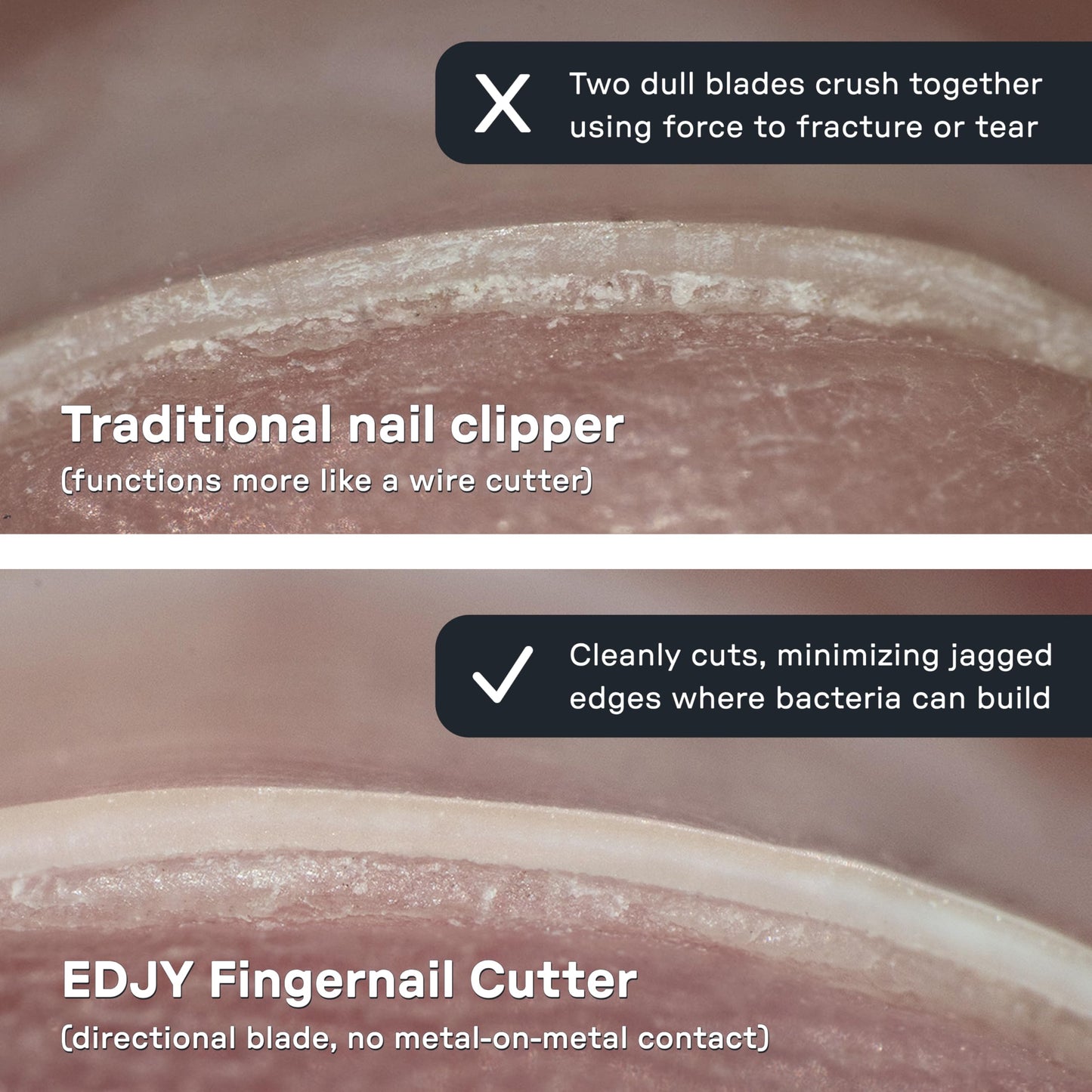 EDJY Fingernail Cutter - Precision Stainless Steel Nail Cutter for Fingernails | Sharp Blade, Ergonomic Design, Durable & Rust-Resistant | Ideal for Men and Women | Multi Color | 4-Pack
