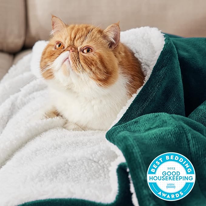 Bedsure GentleSoft Sherpa Fleece Blankets Queen Size for Bed - Thick and Warm, Soft Fuzzy Plush Queen Christmas Blanket for Winter, Forest Green, 90x90 Inches
