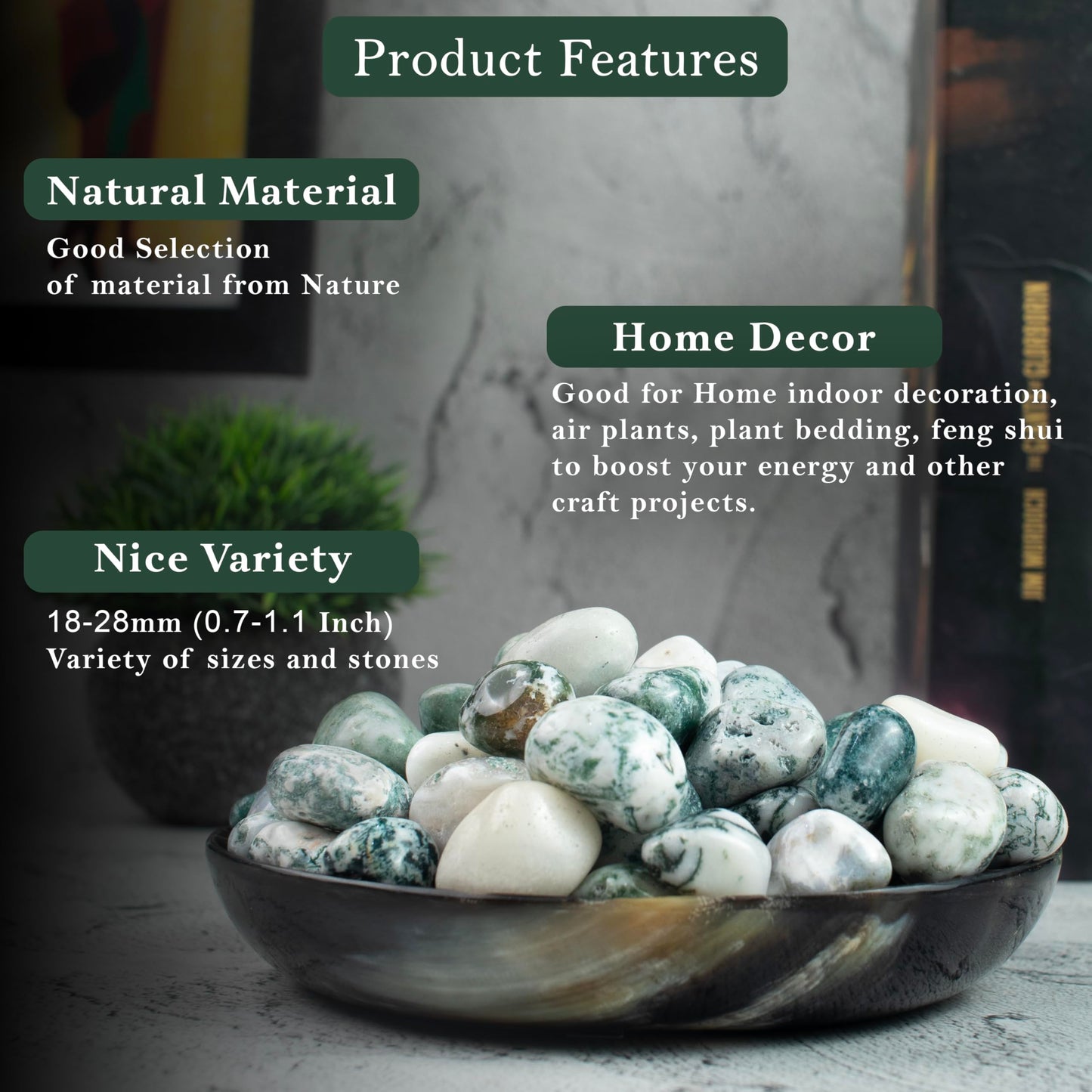 Crocon 1lb Tree Agate Tumble Stones Stones Set Pocket Crystal Healing Gemstones Balancing Tumble Collection Palm Stone Meditation Good Luck Charm Gift Craft Home Decor Size: 20-25 mm 1 LB