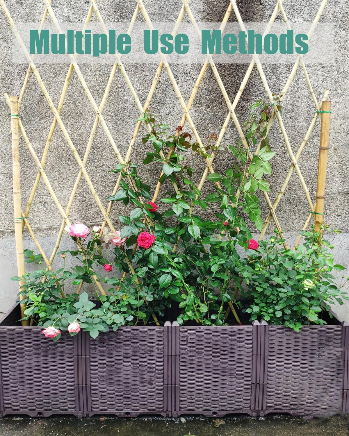 5 Ft Bamboo Stakes with 100 Twist Ties Natural Bamboo Garden Stakes for Tomatoes Cucumber Grapes Pole Beans Trees Potted Dahlia Flowers and Climbing Plants - Pack of 20 (58in, Approx 5FT)