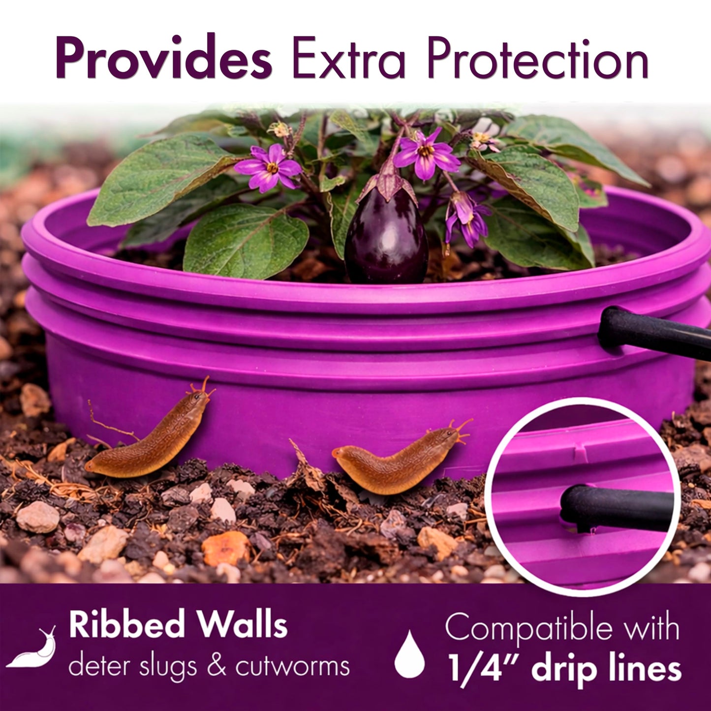 7 inch Solid Planting Grow Rings | 6 Pack Purple | One-Piece Design for Deep Root Watering Veggies, Herbs & Flowers | Mulch & Soil Barrier | Deter Slugs and Cutworms | Heavy Duty | Made in USA
