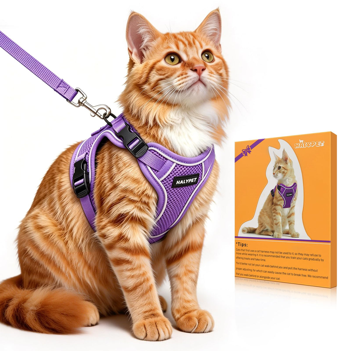 Cat Harness and Leash Set,Escape Proof Kitten Harness,Orange