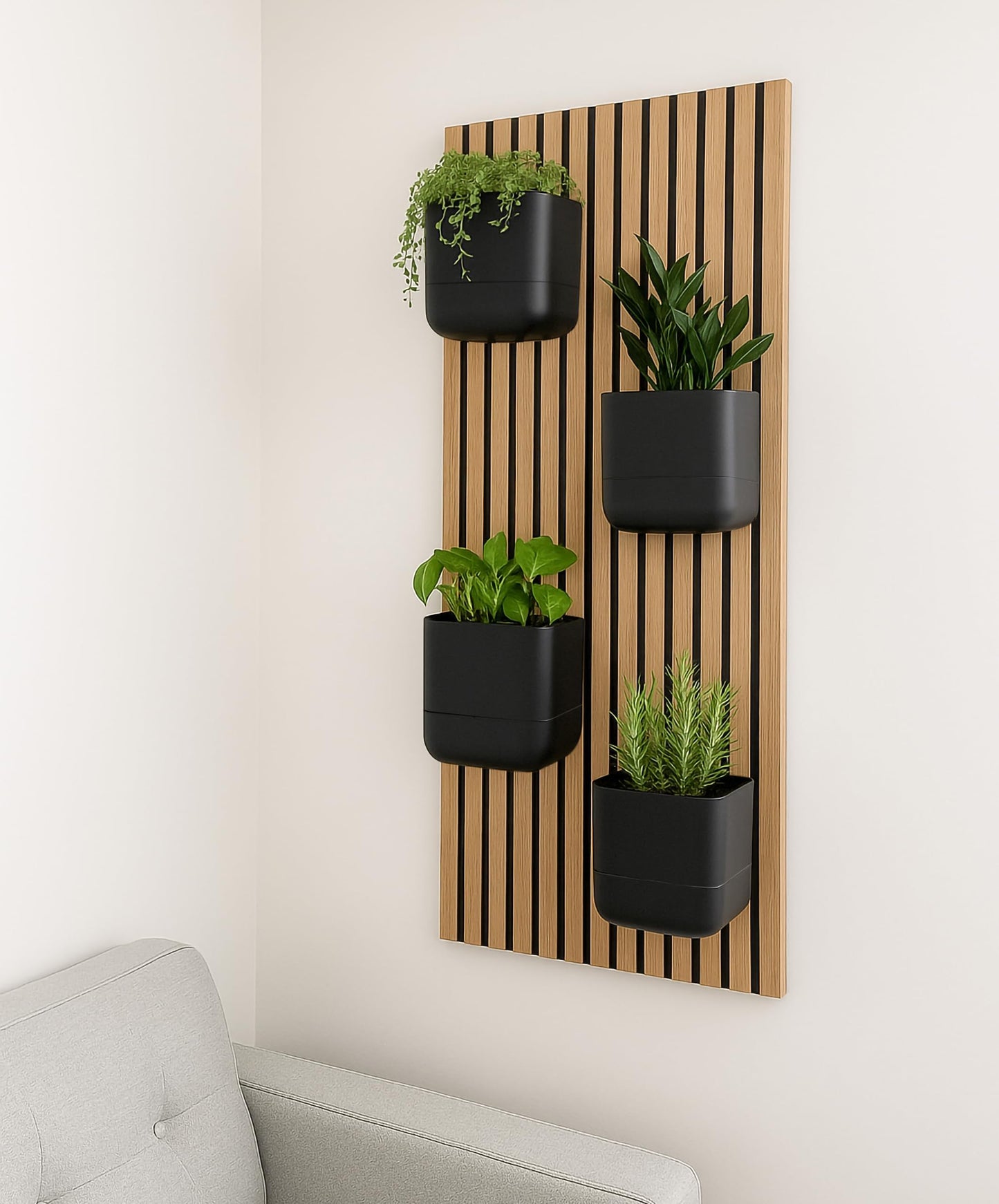 Phoenix Vine 6.5 Inch Wall Mounted Self-Watering Planter Pot for Indoor Houseplants and Herbs | Hanging Planter for Window Sills, Bathroom Walls, Home & Office Décor, Black, Set of 2, 01-C-E-2