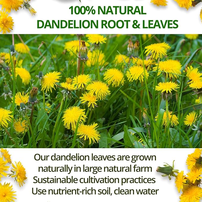 VIDA FARM 125 Dandelion Tea Bags - 100% Natural Dandelion Leaf & Root, Sugar Free, Caffeine Free, Non-GMO - Premium Dandelion Root Herbal Tea, Smooth Taste
