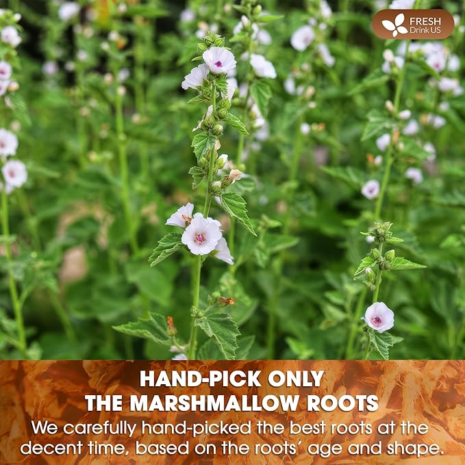 FreshDrinkUS, Premium 75 Marshmallow Root Tea Bags, 100% Natural & Pure from Marshmallow Root, Eco-Conscious Tea Bags, Herbal Tea. No Sugar, No Caffeine, No Gluten, Vegan.