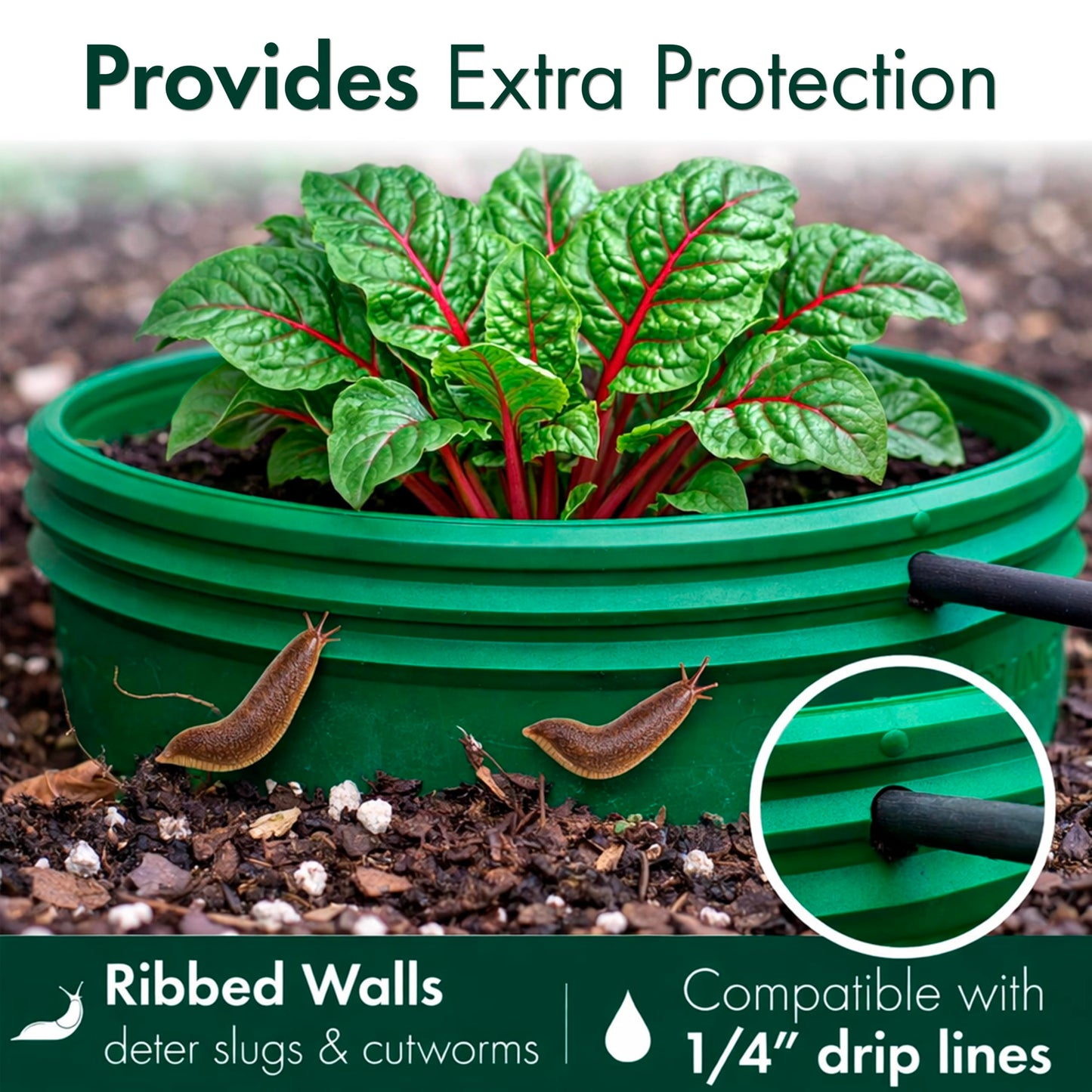 7 inch Solid Planting Grow Rings | 6 Pack Green | One-Piece Design for Deep Root Watering Veggies, Herbs & Flowers | Mulch & Soil Barrier | Deter Slugs and Cutworms | Heavy Duty | Made in USA