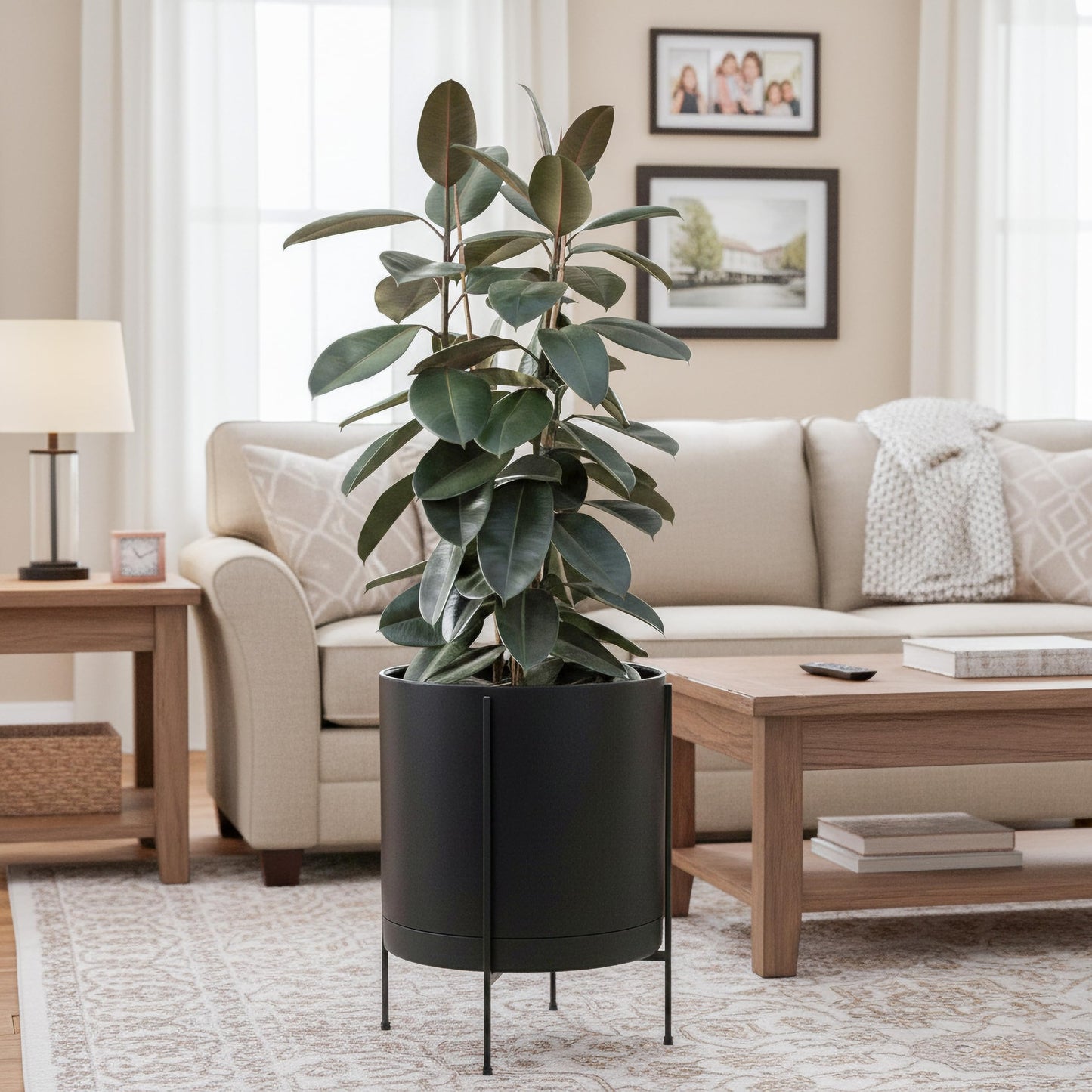 D'vine Dev 16 Inch Black Planter Pot with Stand – Modern Plastic Cylinder Flower Pot with Heavy-Duty Metal Stand for Indoor Plants, 55-D-B-5