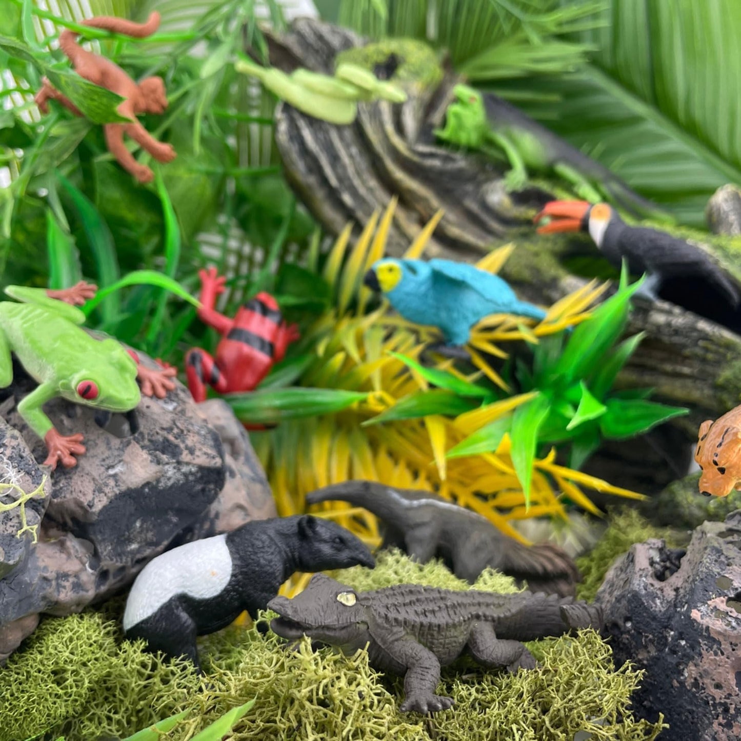 Safari Ltd. Rainforest TOOB - 11 Figurines: Macaw, Frogs, Toucan, Iguana, Monkey, and More - Educational Toy Figures For Boys, Girls, and Kids Ages 3+
