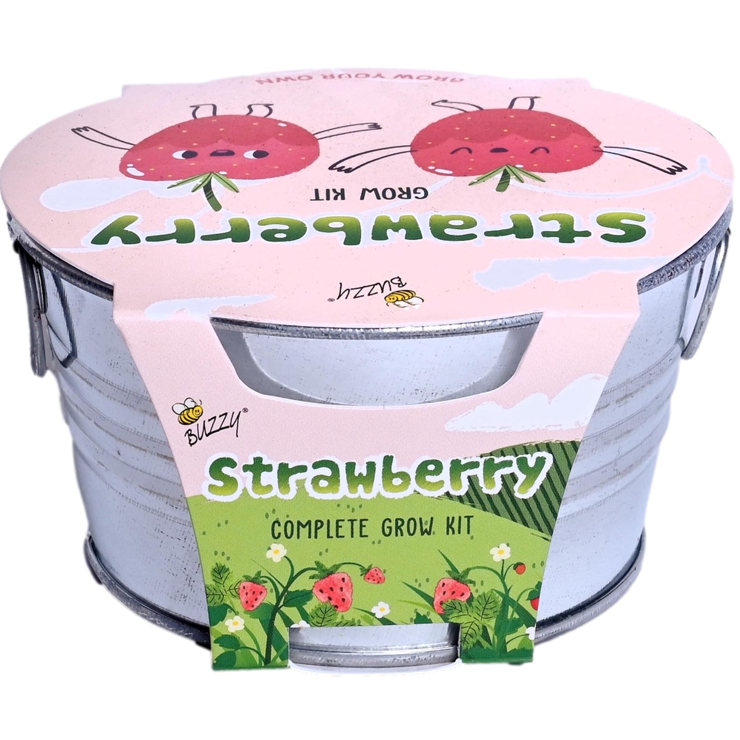 BUZZY Seeds Mini Basin Gardening Kit with Strawberry Seeds for Planting, Flowering Fruit Starter Set, Indoor Plants, DIY Plant Project, Party Favor