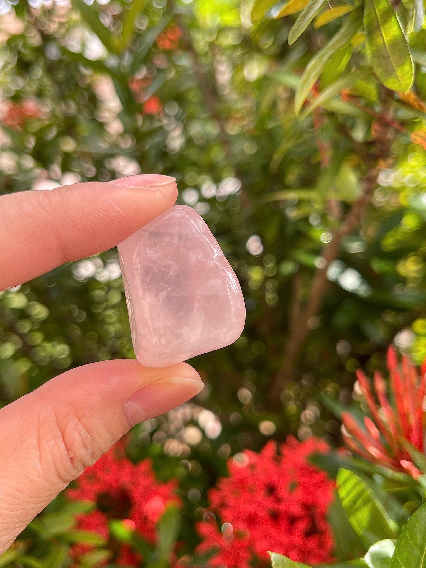 GAF TREASURES 5 Pcs Tumbled Rose Quartz Stones, Polished Quartz Healing Crystals