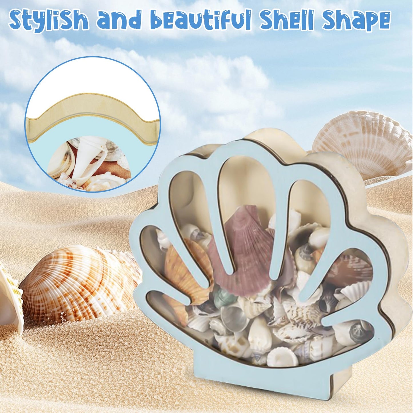 Wooden Shell Display Box Blue, Seashell Display Box Decoration Supplies, Exquisite Storage Decor Gift Supplies for Women Men Suitable for Placing in The Room