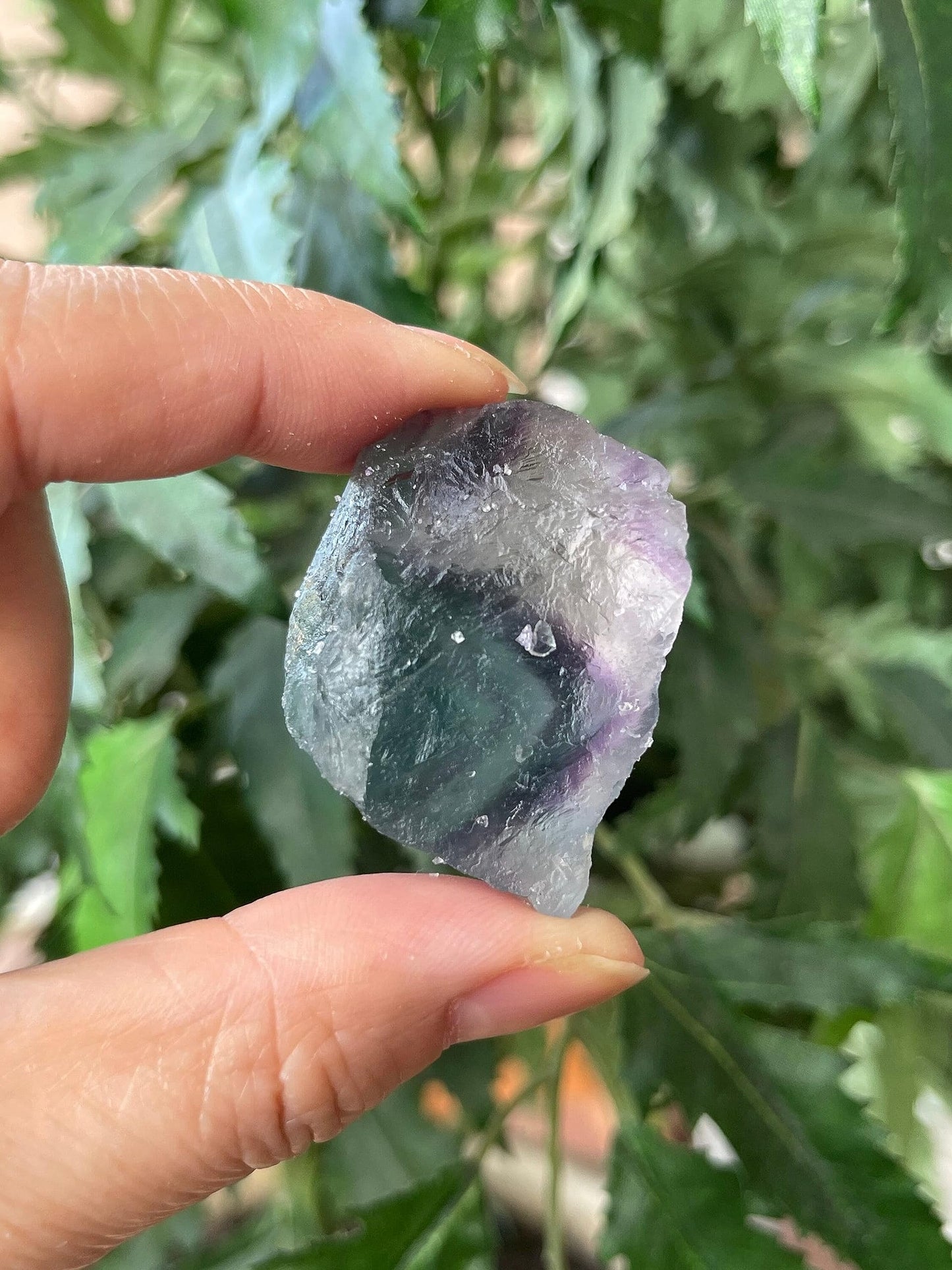 GAF TREASURES Wholesale Raw Rainbow Fluorite Crystals, Natural Rainbow Fluorite Stone, Natural Rough Rainbow Fluorite Crystals, Rainbow Fluorite Healing Crystals (Rainbow Fluorite, 0.5 Pound)