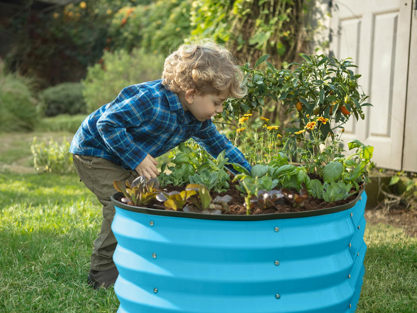 Plant & Plot Galvanized Raised Garden Beds Outdoor // 4×2×1 ft Planter Raised Beds for Gardening, Vegetables, Flowers (Teal) // Large Metal Garden Box
