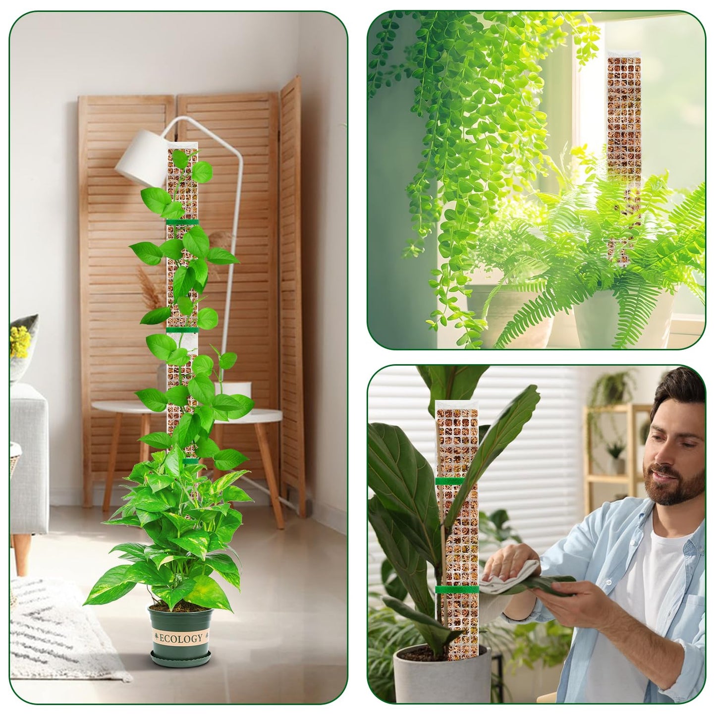 YSKS 6 Pcs 24-inch Plastic Moss Poles for Plants ，Moss Poles for Climbing Plants, Indoor Plant Support Work with Sphagnum muss