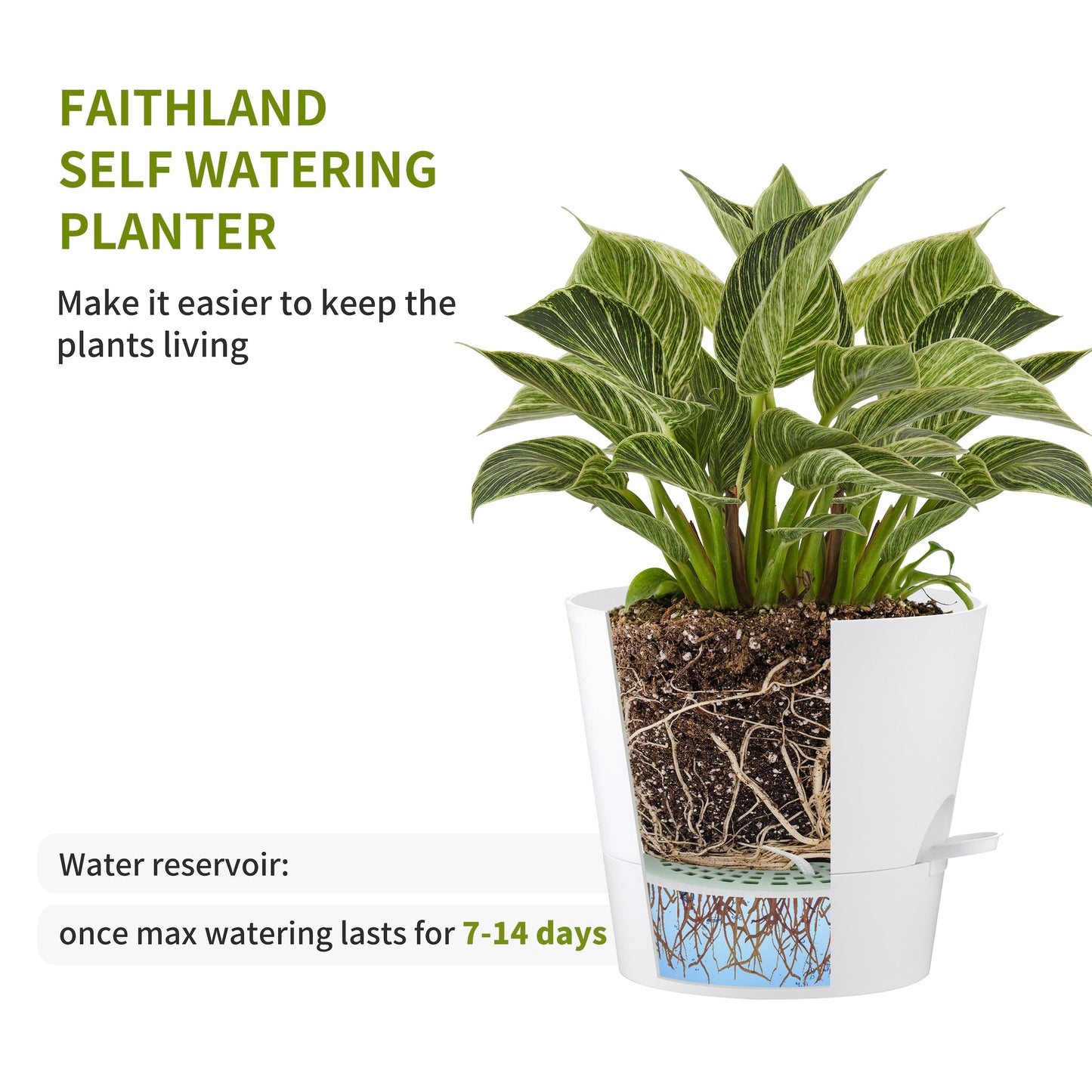 FaithLand 2 Tier Plant Stand and 2-Pack 10 Inch Self Watering Pots Bundle