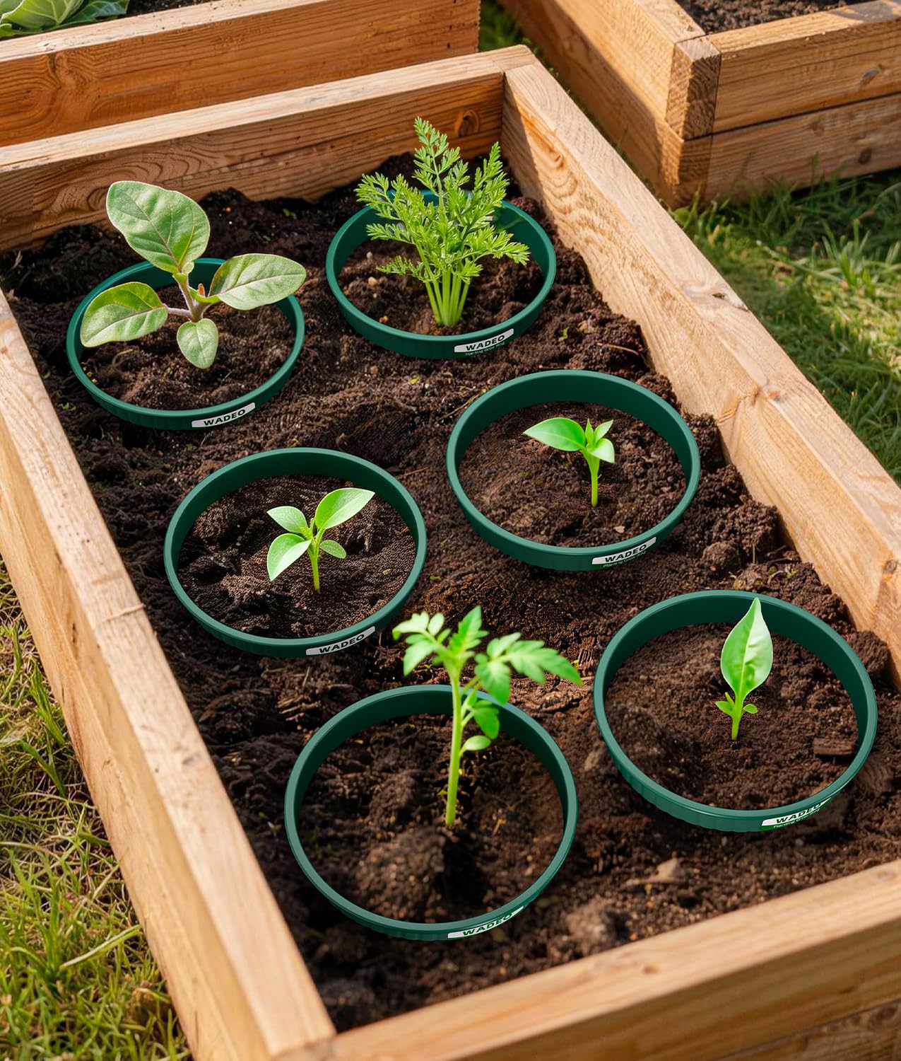7 inch Planting Grow Rings, 6 PCS Plant Rings for Outdoor Plants, Perfect for Deep Root Watering Veggies Herbs and Flowers