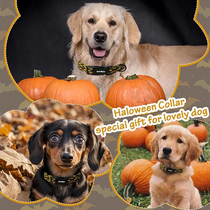 Astdogio Fall Dog Collar, Halloween Dog Collars for Extra Small Dogs, Cotton Puppy Collar with Bat Pattern, Pet Collar for Small Medium Large Dogs, Girl Boy Dogs Collar with Quick Release Buckle-XS