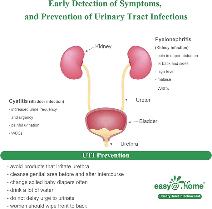 Easy@Home 100 Individual Pouch Urinary Tract Infection Test Strips, UTI Urine Testing Kit for Urinalysis and Detection of Leukocytes and Nitrites (UTIPOUCH-100P)