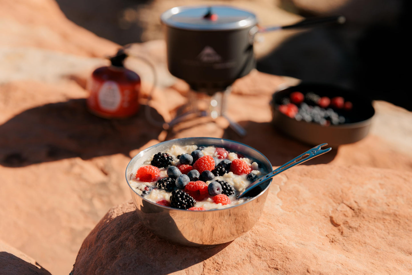 MSR Alpine Stainless Steel Nesting Camping Bowl,Silver