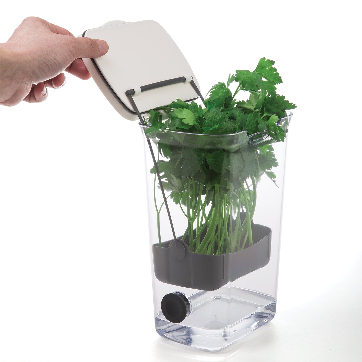 ProKeeper Herb Keeper – 1-Piece, White, with Removable Silicone Drain Plug, BPA-Free Plastic