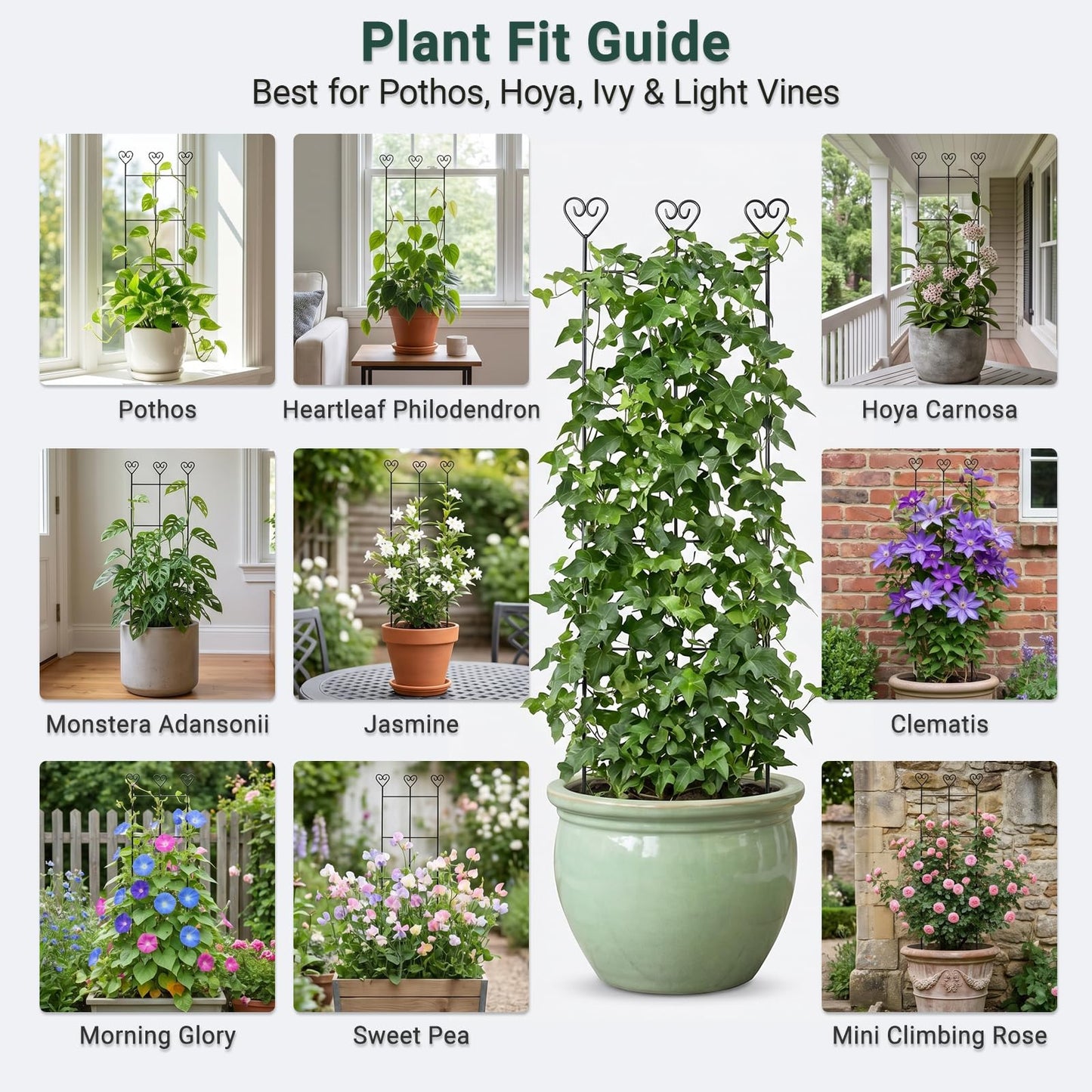 2 Pack 30'' Plant Trellis for Climbing Plants Indoors, Metal Garden Trellis for Potted Houseplant, Rustproof Plant Support for Ivy, Vines, Pothos, Hoya and Flower, Black