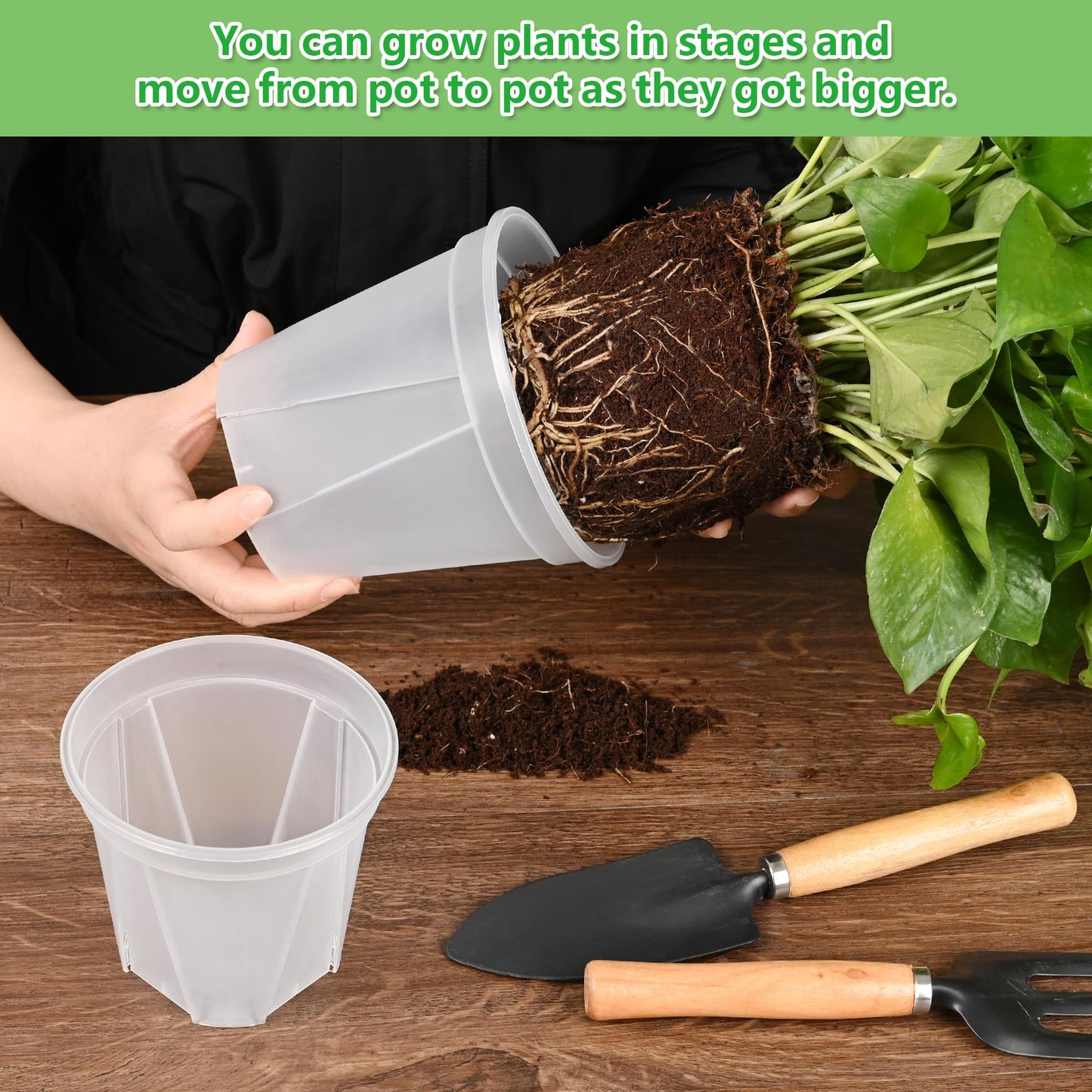 AUGXIXI 5 Set 7 Inch Transparent Plastic Garden Pots with Saucer - Planter with Drainage Hole for Indoor and Outdoor Plants - Includes 10 Plant Labels