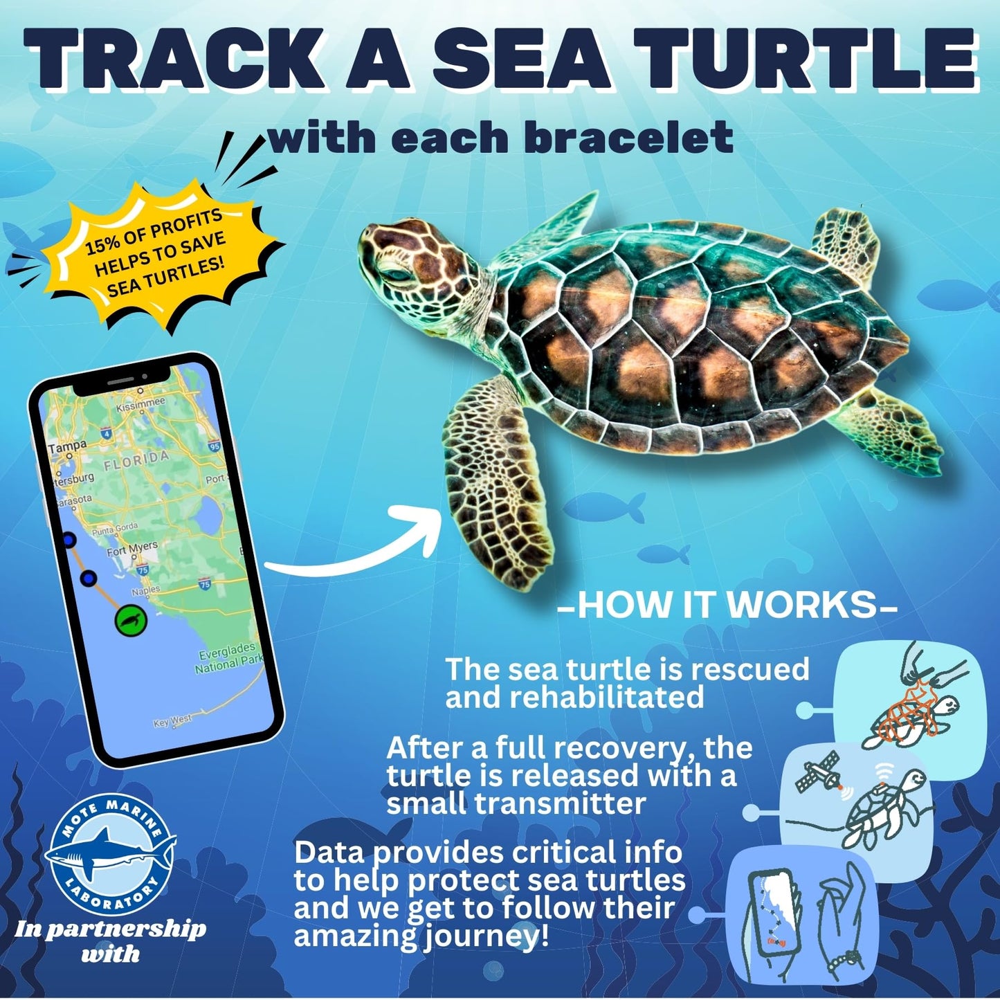 KoaKoa Sea Turtle Tracking Bracelet Bahama Blue Special Edition, helps save sea turtles, one size fits most Men and Women