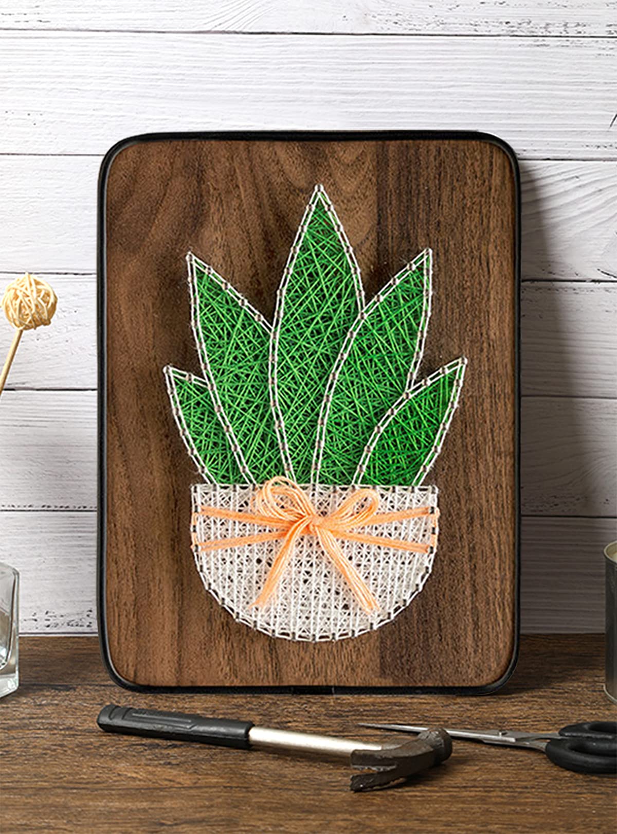 BAZIMA DIY String Art Kit for Beginner,DIY Aloe Potted Craft Kit,Unique Gift,Craft Kit for Holidays