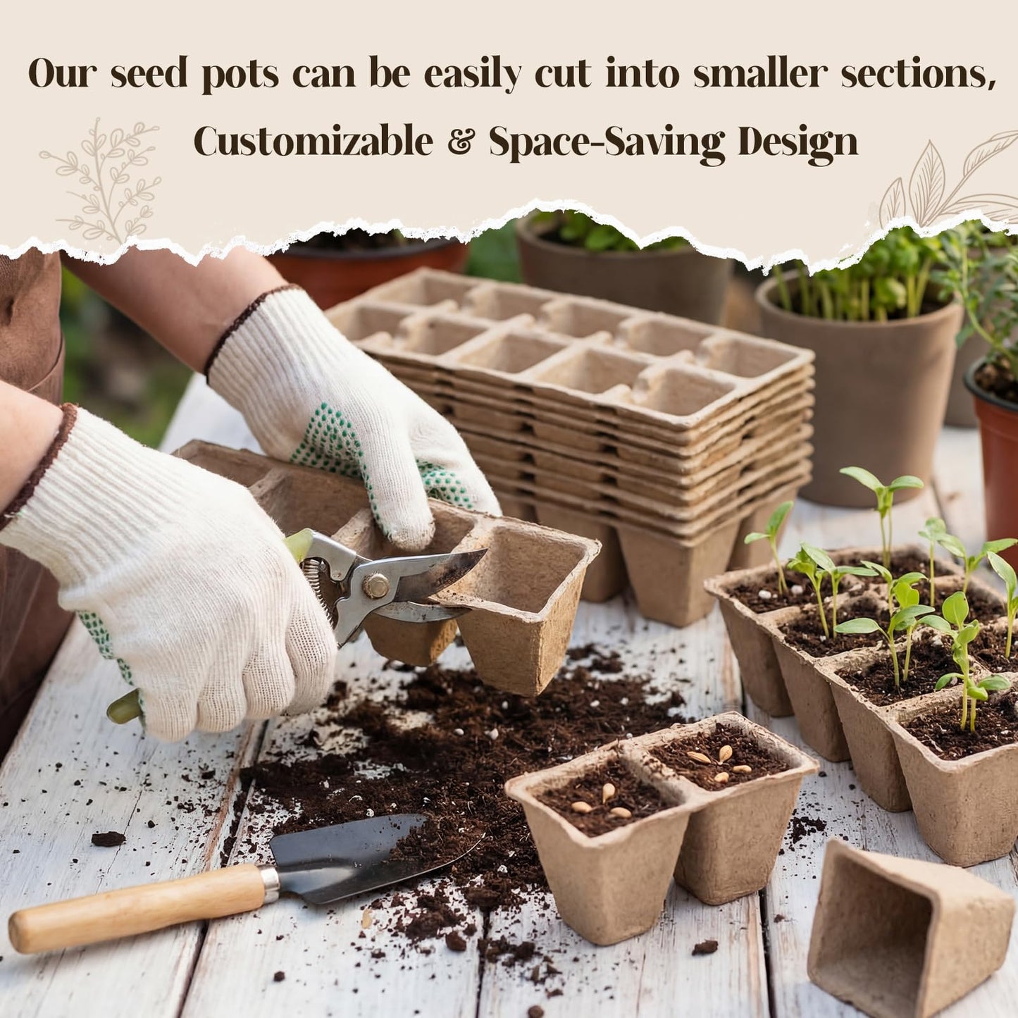 Omitgoter 200 Cells Seed Starter Tray, 20 Pcs Biodegradable Plant Starter Peat Pots(Including T-Type Labels & Starter Tools)– Eco-Friendly Gardening Supplies, No Transplant Needed