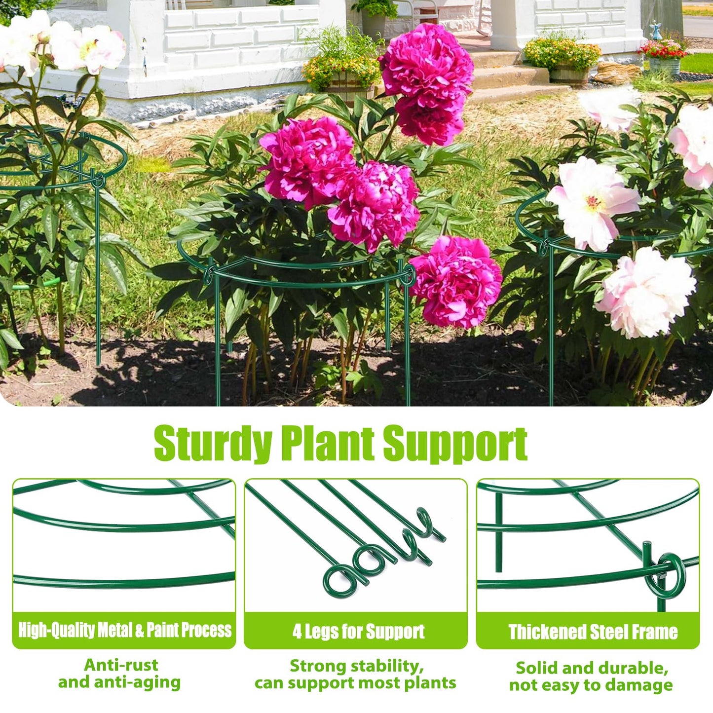 8 Pack Peony Cages and Supports, 11.5" Dx16 H Plant Supports for Outdoor Plants, Heavy Duty Metal Peony Support Cage Flower Support Rings, Plant Support Ring for Rose Tomato Hydrangea Strawberry