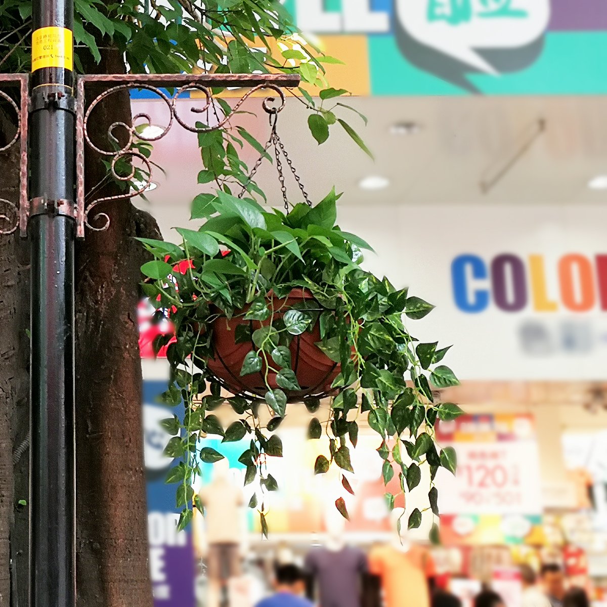 Flower Pot Chain 24 Inch Hanging Flower Basket Galvanized Replacement Chain 3 Point Garden Plant Hanger (4pcs(Black))