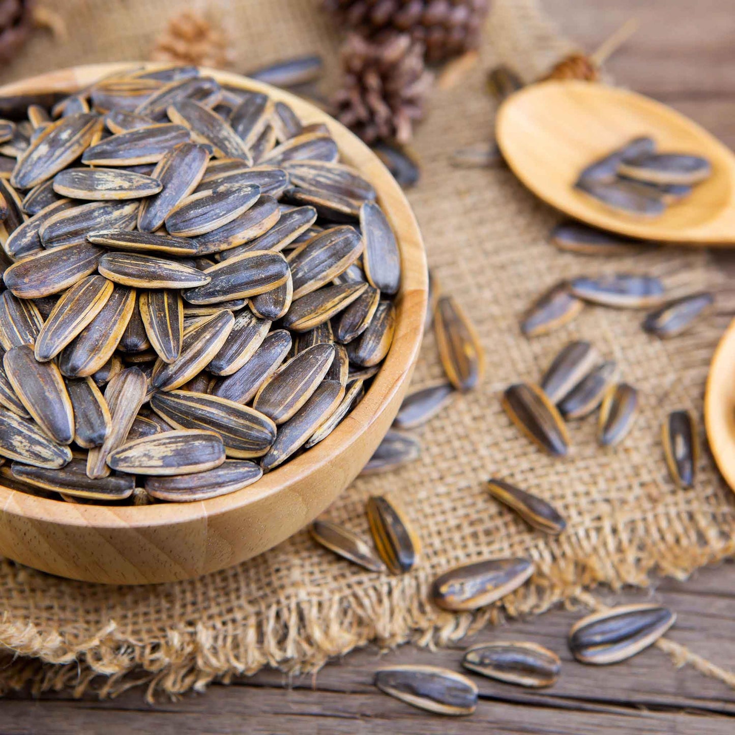 Eden Brothers Sunflower Seeds (Organic) - Mammoth Grey-Stripe