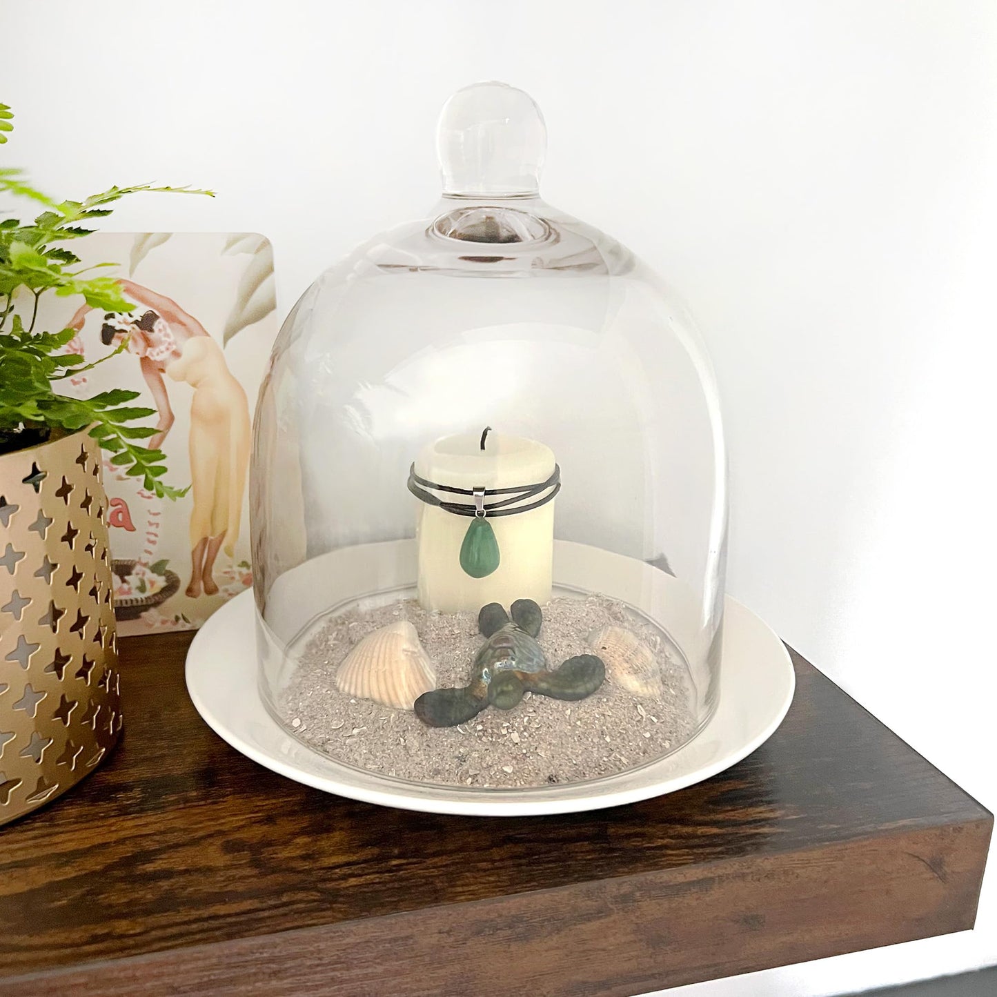 Plymor 6" x 7" Bell Jar Glass Display Dome Cloche (Small - Interior Size 5.75 inch x 5.75 inch)