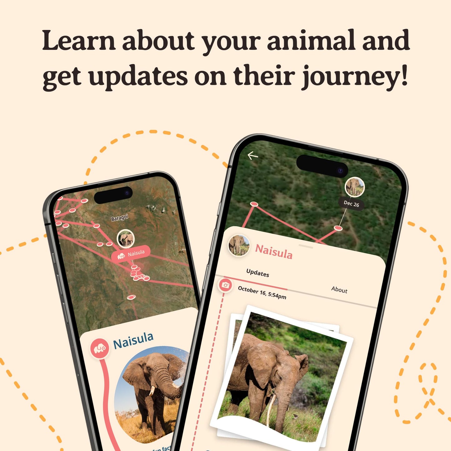 Fahlo Elephant Tracking Bracelet – Track a Real Elephant’s Journey – Supports Save the Elephants – Elastic, One Size Fits Most – on Interactive Mobile App Map – Unisex Conservation Gift (Lava Stone)
