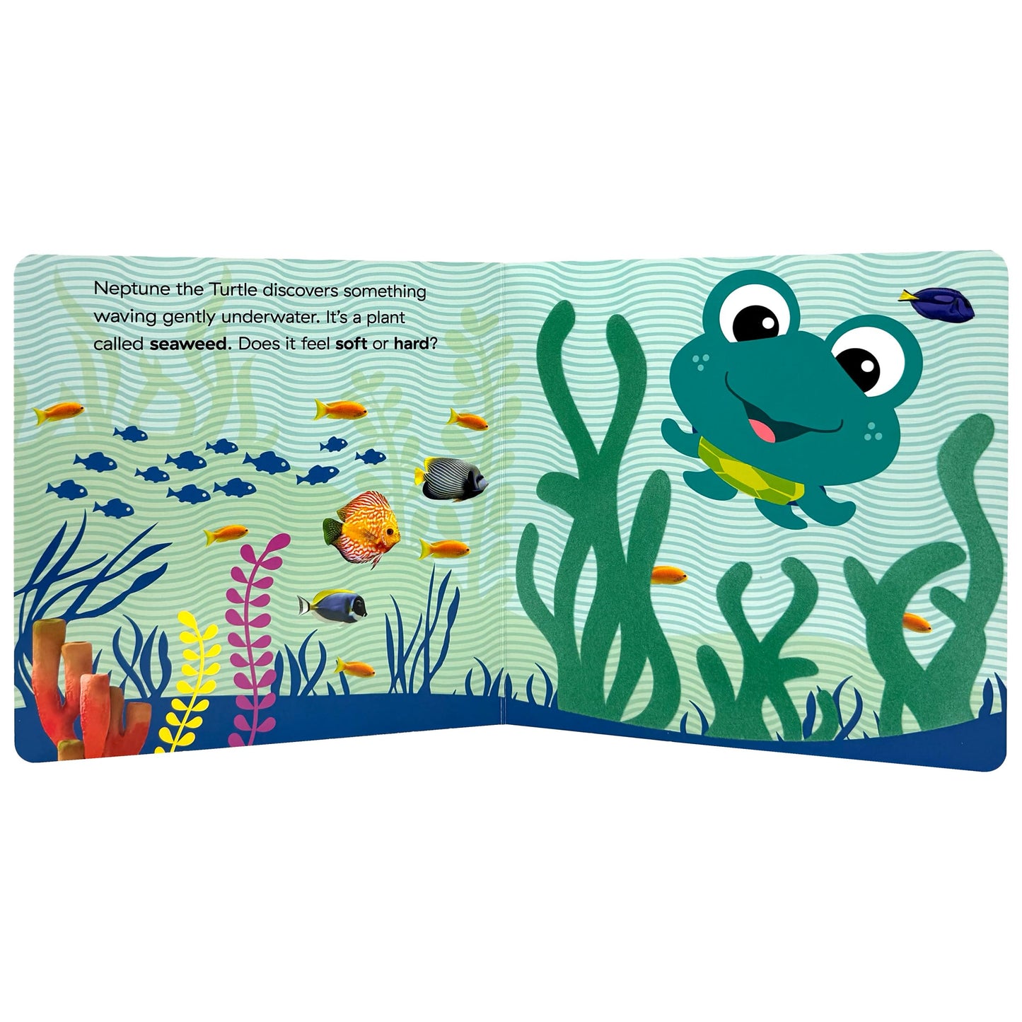Baby Einstein Ocean Explorers: Discover the Ocean Touch & Feel