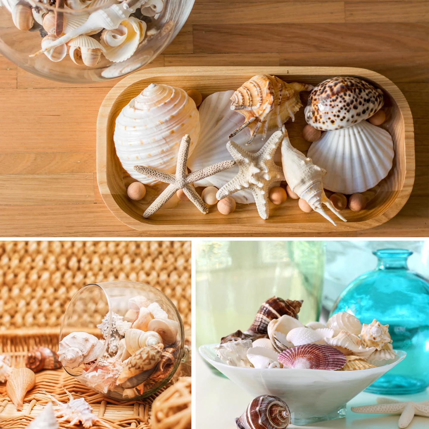 JQAQJU Sea Shells Mixed Beach Seashells 20 Kinds, 1.5"-5.5" Various Sizes Large Ocean Shells Conch 2 Kinds Natural Starfish for Decorating Beach Theme Party Fish Tank Filling Home Decor Wedding