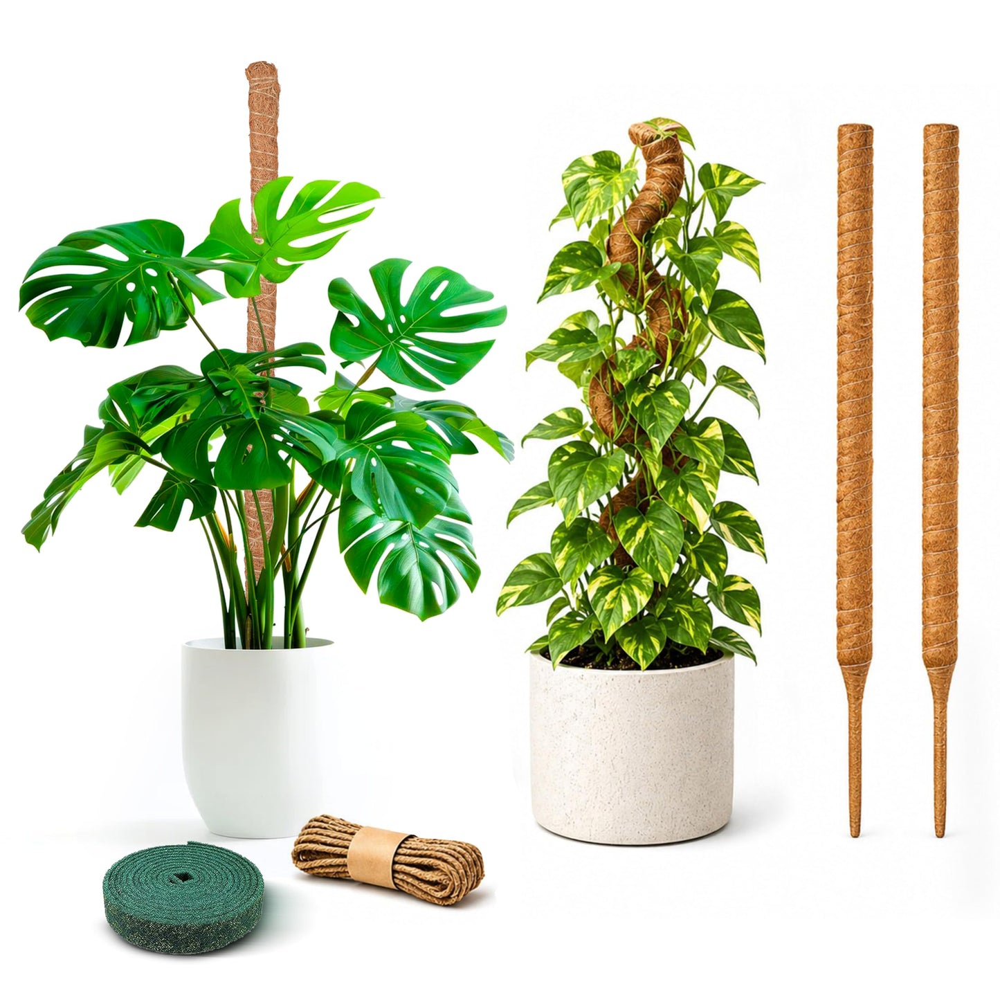 EcoNour 2 Pack Moss Poles for Plants – 28" Monstera Plant Support Stakes, Coir Plant Sticks for Indoor Climbing Plants, Pothos, Philodendron & Houseplants