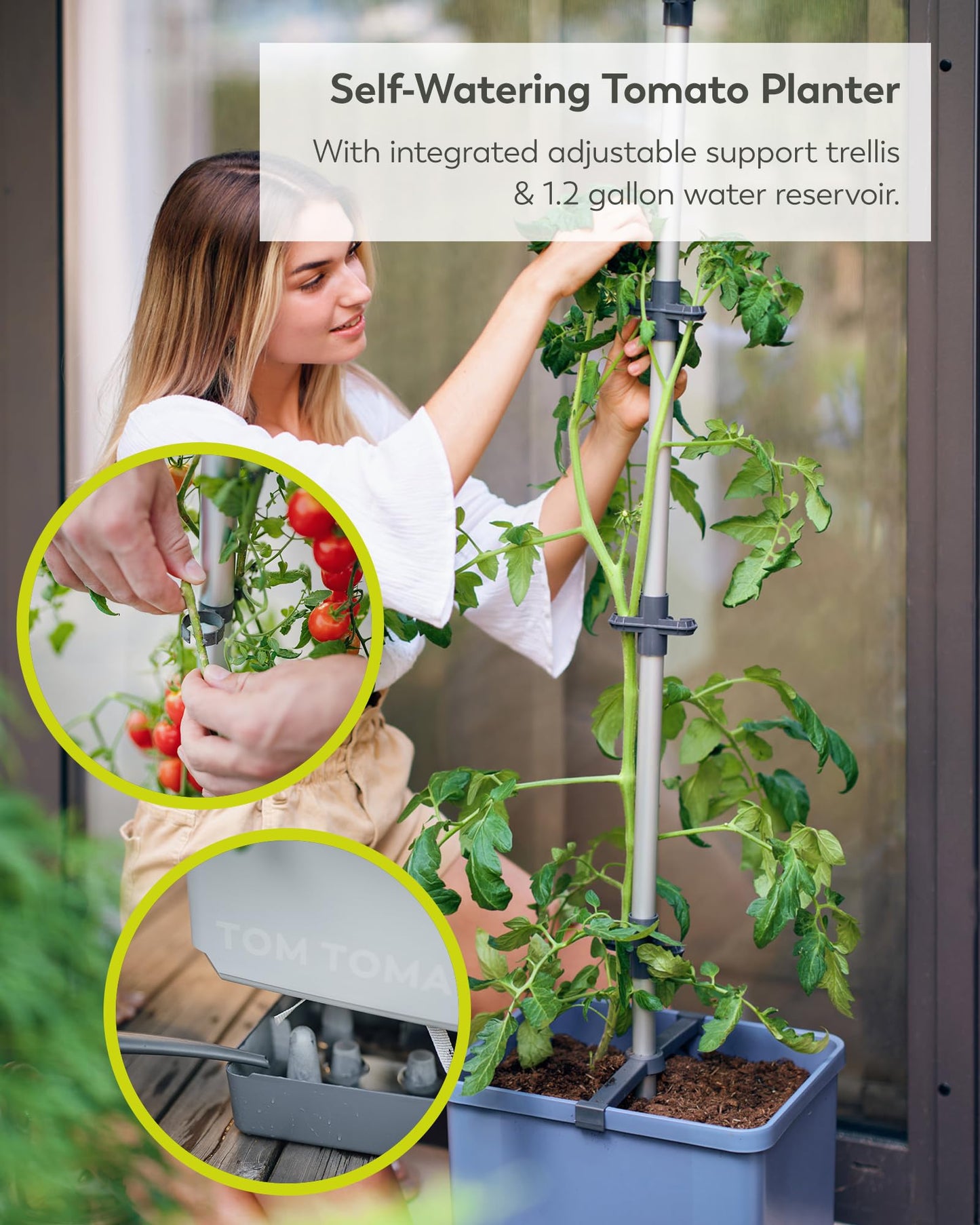 BUZZY Seeds Self-Watering Vertical Tomato Planter with Trellis – 1.2 Gal Reservoir, Large Capacity Planter for Tomatoes & Climbing Plants (Blue)