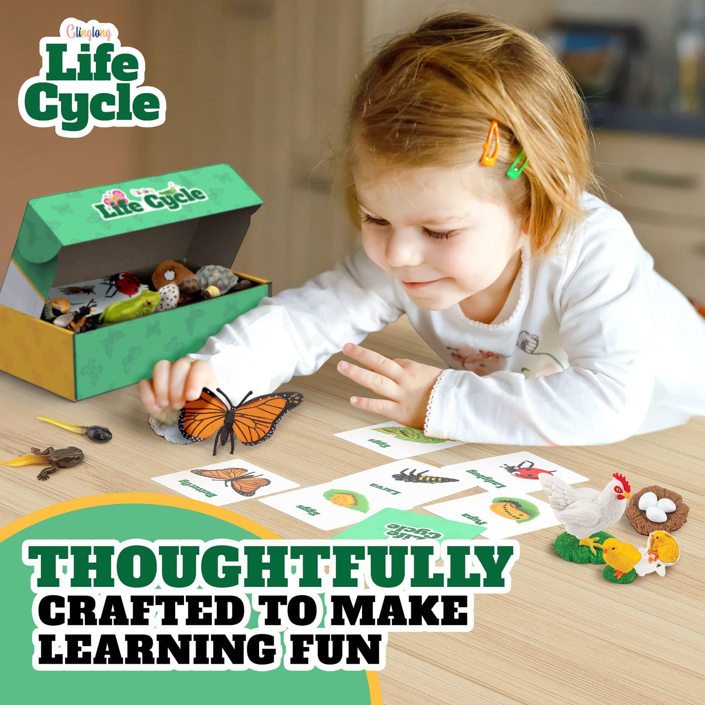 Life Cycle Animal Kit - Montessori Science Toy with 24-Piece Matching Game, Butterfly, Frog, Chicken, Bee, Ladybug and Turtle STEM Educational Gift, Easter Basket fillers for Kids Ages 3-8