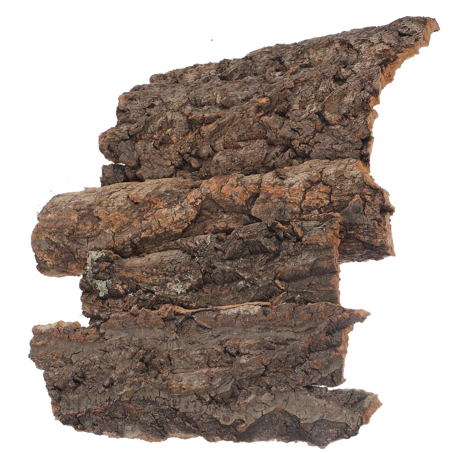 balacoo Reptile Bark Climbing Tree Decor 9.05In Natural Cork Wood Terrarium Accessories Reptile Hideout for Snakes Lizards Tortoise Habitat