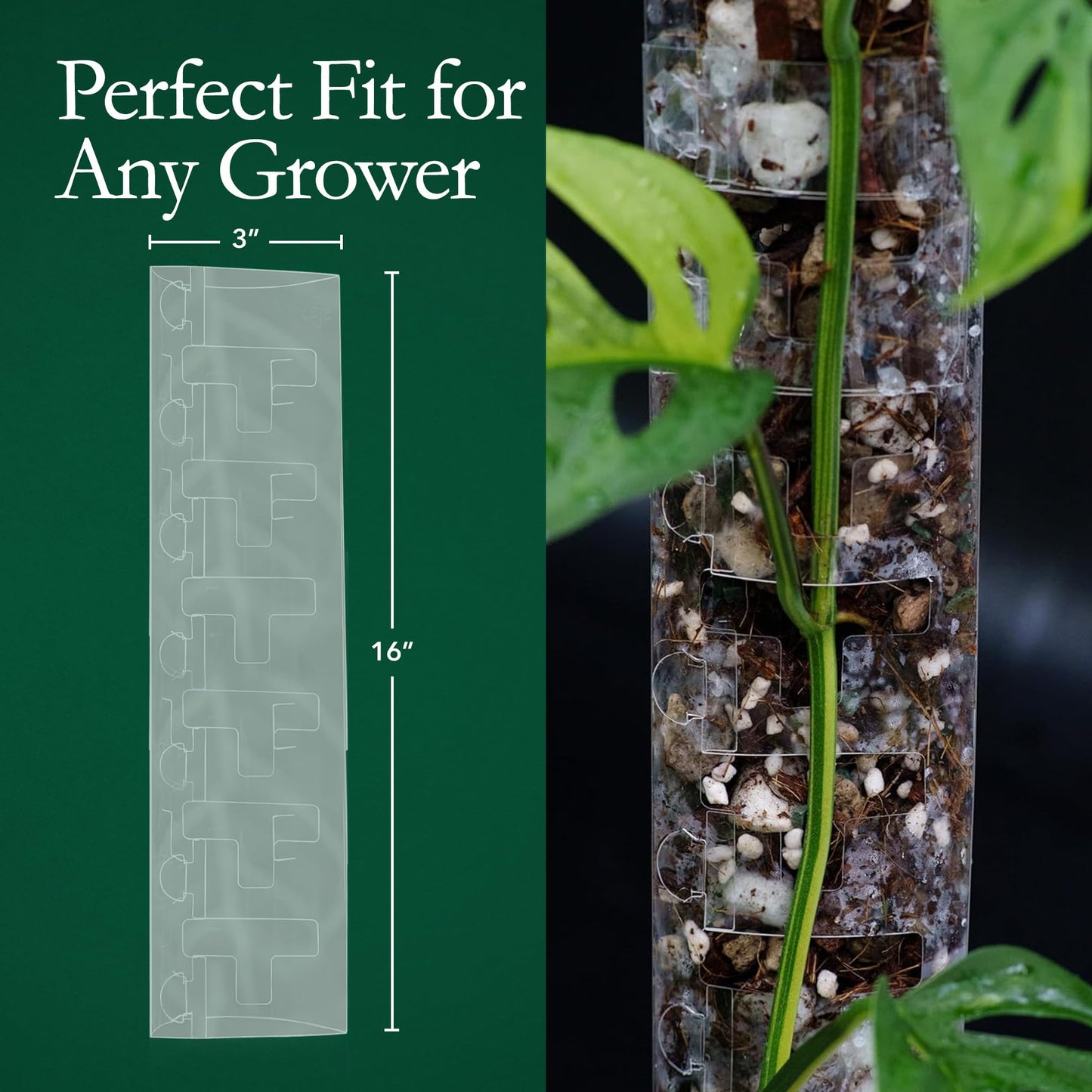 THICCLY V3 GrowPole Medium 5 Pcs - Front Opening Plastic Moss Poles for Climbing Plants, D-Shaped Moss Pole for Monstera Plant Support Plant Climbing Pole, Plastic Plant Pole Support for Philodendron