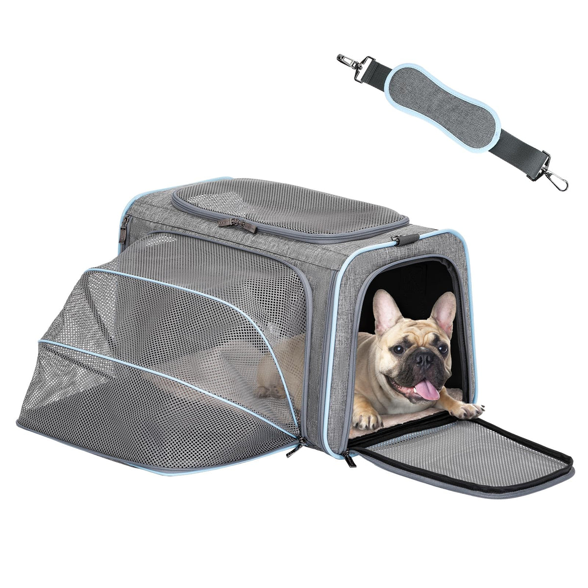 Petsfit Small Expandable Cat Carrier for Air Travel, Up to 9 lb
