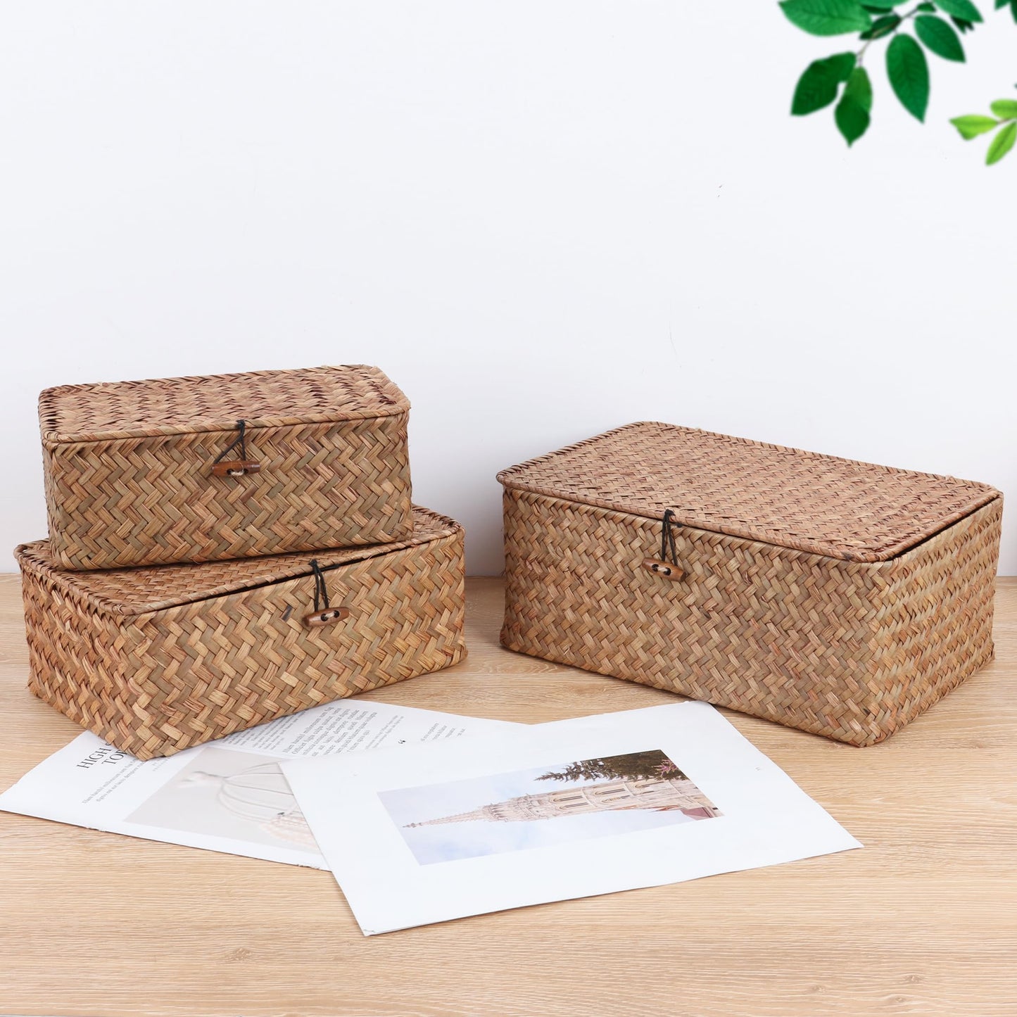 FEIALNDUO Wicker Shelf Baskets with Lid,Seagrass Storage Basket Bins Rectangular Handwoven Basket Boxes for Shelves Desktop Home Organizer (Coffee, X-Small)