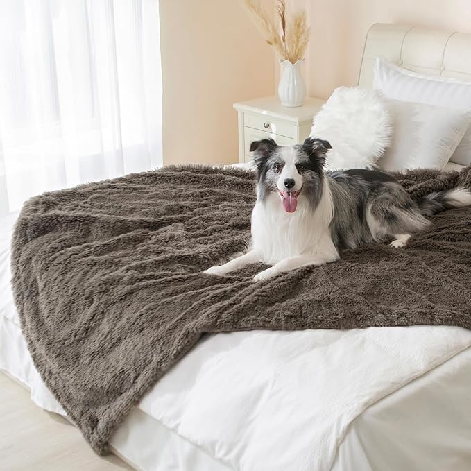 gogobunny Waterproof Dog Blanket for Couch & Furniture Protection - Super Soft Reversible Throw for Large Dogs & Cats, Calming Washable Fur & Sherpa Pet Blanket (25x35 Inch, Stone)