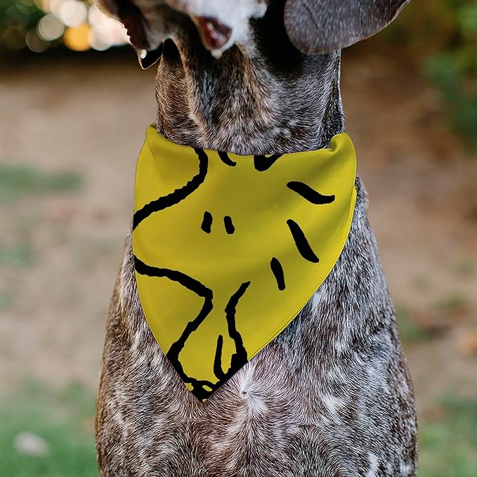 Peanuts Pet Bandana Slide On Slip Through
