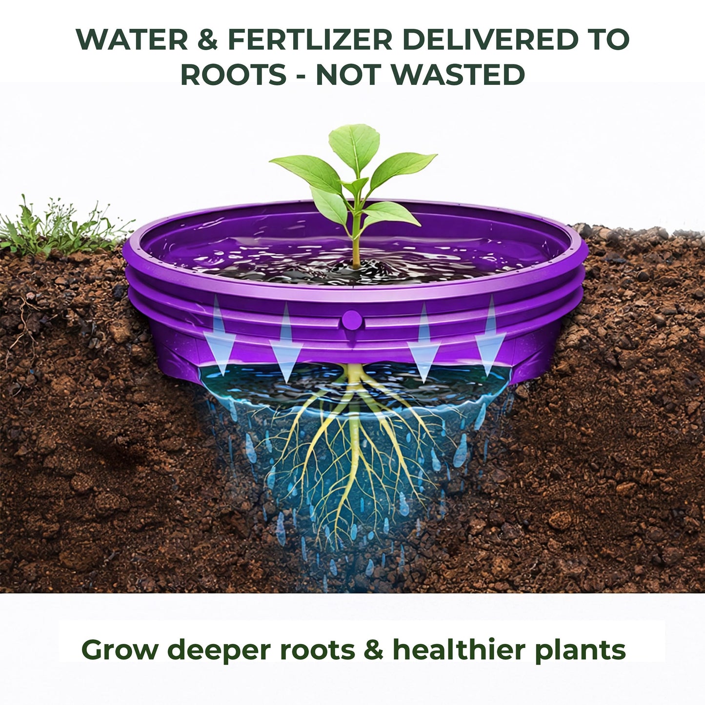 7 inch Solid Planting Grow Rings | 6 Pack Purple | One-Piece Design for Deep Root Watering Veggies, Herbs & Flowers | Mulch & Soil Barrier | Deter Slugs and Cutworms | Heavy Duty | Made in USA